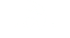 light logo